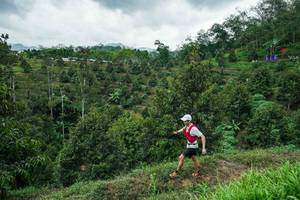 BIB: 
                            <button type="button" onclick="openModal(26395189)" class="btn btn-primary btn-sm float-right btn-popup" data-toggle="modal" data-target=".modal-high-quality">
                        <i class="fas fa-shopping-cart"></i> Add to Cart
                    </button>
                                            <button type="button" onclick="isThisMe(26395189, true)" class="btn btn-success btn-sm float-right btn-popup btn-isme hidden" data-toggle="tooltip" data-placement="bottom" title="นี่คือรูปของคุณใช่ไหม คลิกที่นี่เพื่อเอาเข้าอัลบั้ม">
                        <i class="fas fa-plus"></i> Add to album
                    </button>
                    <button type="button" onclick="isThisMe(26395189, false)" class="btn btn-warning btn-sm float-right btn-popup btn-isnotme hidden">
                        <i class="fas fa-ban"></i> Remove from album
                    </button>