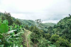 BIB: 
                            <button type="button" onclick="openModal(26396526)" class="btn btn-primary btn-sm float-right btn-popup" data-toggle="modal" data-target=".modal-high-quality">
                        <i class="fas fa-shopping-cart"></i> Add to Cart
                    </button>
                                            <button type="button" onclick="isThisMe(26396526, true)" class="btn btn-success btn-sm float-right btn-popup btn-isme hidden" data-toggle="tooltip" data-placement="bottom" title="นี่คือรูปของคุณใช่ไหม คลิกที่นี่เพื่อเอาเข้าอัลบั้ม">
                        <i class="fas fa-plus"></i> Add to album
                    </button>
                    <button type="button" onclick="isThisMe(26396526, false)" class="btn btn-warning btn-sm float-right btn-popup btn-isnotme hidden">
                        <i class="fas fa-ban"></i> Remove from album
                    </button>