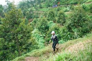 BIB: 
                            <button type="button" onclick="openModal(26397978)" class="btn btn-primary btn-sm float-right btn-popup" data-toggle="modal" data-target=".modal-high-quality">
                        <i class="fas fa-shopping-cart"></i> Add to Cart
                    </button>
                                            <button type="button" onclick="isThisMe(26397978, true)" class="btn btn-success btn-sm float-right btn-popup btn-isme hidden" data-toggle="tooltip" data-placement="bottom" title="นี่คือรูปของคุณใช่ไหม คลิกที่นี่เพื่อเอาเข้าอัลบั้ม">
                        <i class="fas fa-plus"></i> Add to album
                    </button>
                    <button type="button" onclick="isThisMe(26397978, false)" class="btn btn-warning btn-sm float-right btn-popup btn-isnotme hidden">
                        <i class="fas fa-ban"></i> Remove from album
                    </button>