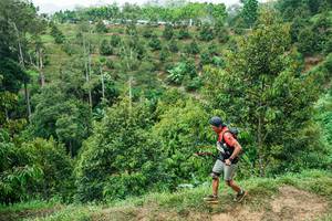 BIB: 
                            <button type="button" onclick="openModal(26397324)" class="btn btn-primary btn-sm float-right btn-popup" data-toggle="modal" data-target=".modal-high-quality">
                        <i class="fas fa-shopping-cart"></i> Add to Cart
                    </button>
                                            <button type="button" onclick="isThisMe(26397324, true)" class="btn btn-success btn-sm float-right btn-popup btn-isme hidden" data-toggle="tooltip" data-placement="bottom" title="นี่คือรูปของคุณใช่ไหม คลิกที่นี่เพื่อเอาเข้าอัลบั้ม">
                        <i class="fas fa-plus"></i> Add to album
                    </button>
                    <button type="button" onclick="isThisMe(26397324, false)" class="btn btn-warning btn-sm float-right btn-popup btn-isnotme hidden">
                        <i class="fas fa-ban"></i> Remove from album
                    </button>