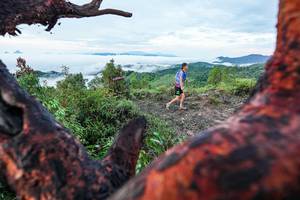 BIB: 
                            <button type="button" onclick="openModal(26372150)" class="btn btn-primary btn-sm float-right btn-popup" data-toggle="modal" data-target=".modal-high-quality">
                        <i class="fas fa-shopping-cart"></i> Add to Cart
                    </button>
                                            <button type="button" onclick="isThisMe(26372150, true)" class="btn btn-success btn-sm float-right btn-popup btn-isme hidden" data-toggle="tooltip" data-placement="bottom" title="นี่คือรูปของคุณใช่ไหม คลิกที่นี่เพื่อเอาเข้าอัลบั้ม">
                        <i class="fas fa-plus"></i> Add to album
                    </button>
                    <button type="button" onclick="isThisMe(26372150, false)" class="btn btn-warning btn-sm float-right btn-popup btn-isnotme hidden">
                        <i class="fas fa-ban"></i> Remove from album
                    </button>