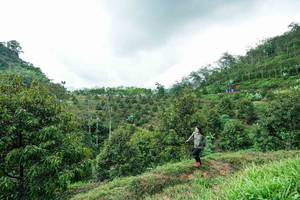 BIB: 
                            <button type="button" onclick="openModal(26394972)" class="btn btn-primary btn-sm float-right btn-popup" data-toggle="modal" data-target=".modal-high-quality">
                        <i class="fas fa-shopping-cart"></i> Add to Cart
                    </button>
                                            <button type="button" onclick="isThisMe(26394972, true)" class="btn btn-success btn-sm float-right btn-popup btn-isme hidden" data-toggle="tooltip" data-placement="bottom" title="นี่คือรูปของคุณใช่ไหม คลิกที่นี่เพื่อเอาเข้าอัลบั้ม">
                        <i class="fas fa-plus"></i> Add to album
                    </button>
                    <button type="button" onclick="isThisMe(26394972, false)" class="btn btn-warning btn-sm float-right btn-popup btn-isnotme hidden">
                        <i class="fas fa-ban"></i> Remove from album
                    </button>