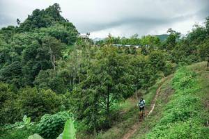 BIB: 
                            <button type="button" onclick="openModal(26396470)" class="btn btn-primary btn-sm float-right btn-popup" data-toggle="modal" data-target=".modal-high-quality">
                        <i class="fas fa-shopping-cart"></i> Add to Cart
                    </button>
                                            <button type="button" onclick="isThisMe(26396470, true)" class="btn btn-success btn-sm float-right btn-popup btn-isme hidden" data-toggle="tooltip" data-placement="bottom" title="นี่คือรูปของคุณใช่ไหม คลิกที่นี่เพื่อเอาเข้าอัลบั้ม">
                        <i class="fas fa-plus"></i> Add to album
                    </button>
                    <button type="button" onclick="isThisMe(26396470, false)" class="btn btn-warning btn-sm float-right btn-popup btn-isnotme hidden">
                        <i class="fas fa-ban"></i> Remove from album
                    </button>