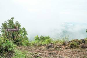 BIB: 
                            <button type="button" onclick="openModal(26389853)" class="btn btn-primary btn-sm float-right btn-popup" data-toggle="modal" data-target=".modal-high-quality">
                        <i class="fas fa-shopping-cart"></i> Add to Cart
                    </button>
                                            <button type="button" onclick="isThisMe(26389853, true)" class="btn btn-success btn-sm float-right btn-popup btn-isme hidden" data-toggle="tooltip" data-placement="bottom" title="นี่คือรูปของคุณใช่ไหม คลิกที่นี่เพื่อเอาเข้าอัลบั้ม">
                        <i class="fas fa-plus"></i> Add to album
                    </button>
                    <button type="button" onclick="isThisMe(26389853, false)" class="btn btn-warning btn-sm float-right btn-popup btn-isnotme hidden">
                        <i class="fas fa-ban"></i> Remove from album
                    </button>