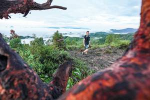 BIB: 
                            <button type="button" onclick="openModal(26372268)" class="btn btn-primary btn-sm float-right btn-popup" data-toggle="modal" data-target=".modal-high-quality">
                        <i class="fas fa-shopping-cart"></i> Add to Cart
                    </button>
                                            <button type="button" onclick="isThisMe(26372268, true)" class="btn btn-success btn-sm float-right btn-popup btn-isme hidden" data-toggle="tooltip" data-placement="bottom" title="นี่คือรูปของคุณใช่ไหม คลิกที่นี่เพื่อเอาเข้าอัลบั้ม">
                        <i class="fas fa-plus"></i> Add to album
                    </button>
                    <button type="button" onclick="isThisMe(26372268, false)" class="btn btn-warning btn-sm float-right btn-popup btn-isnotme hidden">
                        <i class="fas fa-ban"></i> Remove from album
                    </button>