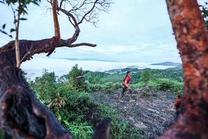 BIB: 
                            <button type="button" onclick="openModal(26372048)" class="btn btn-primary btn-sm float-right btn-popup" data-toggle="modal" data-target=".modal-high-quality">
                        <i class="fas fa-shopping-cart"></i> Add to Cart
                    </button>
                                            <button type="button" onclick="isThisMe(26372048, true)" class="btn btn-success btn-sm float-right btn-popup btn-isme hidden" data-toggle="tooltip" data-placement="bottom" title="นี่คือรูปของคุณใช่ไหม คลิกที่นี่เพื่อเอาเข้าอัลบั้ม">
                        <i class="fas fa-plus"></i> Add to album
                    </button>
                    <button type="button" onclick="isThisMe(26372048, false)" class="btn btn-warning btn-sm float-right btn-popup btn-isnotme hidden">
                        <i class="fas fa-ban"></i> Remove from album
                    </button>