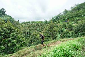 BIB: 
                            <button type="button" onclick="openModal(26396423)" class="btn btn-primary btn-sm float-right btn-popup" data-toggle="modal" data-target=".modal-high-quality">
                        <i class="fas fa-shopping-cart"></i> Add to Cart
                    </button>
                                            <button type="button" onclick="isThisMe(26396423, true)" class="btn btn-success btn-sm float-right btn-popup btn-isme hidden" data-toggle="tooltip" data-placement="bottom" title="นี่คือรูปของคุณใช่ไหม คลิกที่นี่เพื่อเอาเข้าอัลบั้ม">
                        <i class="fas fa-plus"></i> Add to album
                    </button>
                    <button type="button" onclick="isThisMe(26396423, false)" class="btn btn-warning btn-sm float-right btn-popup btn-isnotme hidden">
                        <i class="fas fa-ban"></i> Remove from album
                    </button>