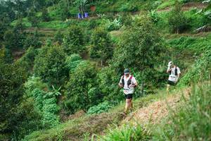 BIB: 
                            <button type="button" onclick="openModal(26401865)" class="btn btn-primary btn-sm float-right btn-popup" data-toggle="modal" data-target=".modal-high-quality">
                        <i class="fas fa-shopping-cart"></i> Add to Cart
                    </button>
                                            <button type="button" onclick="isThisMe(26401865, true)" class="btn btn-success btn-sm float-right btn-popup btn-isme hidden" data-toggle="tooltip" data-placement="bottom" title="นี่คือรูปของคุณใช่ไหม คลิกที่นี่เพื่อเอาเข้าอัลบั้ม">
                        <i class="fas fa-plus"></i> Add to album
                    </button>
                    <button type="button" onclick="isThisMe(26401865, false)" class="btn btn-warning btn-sm float-right btn-popup btn-isnotme hidden">
                        <i class="fas fa-ban"></i> Remove from album
                    </button>