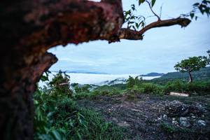 BIB: 
                            <button type="button" onclick="openModal(26371958)" class="btn btn-primary btn-sm float-right btn-popup" data-toggle="modal" data-target=".modal-high-quality">
                        <i class="fas fa-shopping-cart"></i> Add to Cart
                    </button>
                                            <button type="button" onclick="isThisMe(26371958, true)" class="btn btn-success btn-sm float-right btn-popup btn-isme hidden" data-toggle="tooltip" data-placement="bottom" title="นี่คือรูปของคุณใช่ไหม คลิกที่นี่เพื่อเอาเข้าอัลบั้ม">
                        <i class="fas fa-plus"></i> Add to album
                    </button>
                    <button type="button" onclick="isThisMe(26371958, false)" class="btn btn-warning btn-sm float-right btn-popup btn-isnotme hidden">
                        <i class="fas fa-ban"></i> Remove from album
                    </button>