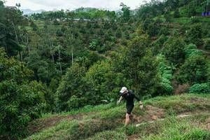 BIB: 
                            <button type="button" onclick="openModal(26394901)" class="btn btn-primary btn-sm float-right btn-popup" data-toggle="modal" data-target=".modal-high-quality">
                        <i class="fas fa-shopping-cart"></i> Add to Cart
                    </button>
                                            <button type="button" onclick="isThisMe(26394901, true)" class="btn btn-success btn-sm float-right btn-popup btn-isme hidden" data-toggle="tooltip" data-placement="bottom" title="นี่คือรูปของคุณใช่ไหม คลิกที่นี่เพื่อเอาเข้าอัลบั้ม">
                        <i class="fas fa-plus"></i> Add to album
                    </button>
                    <button type="button" onclick="isThisMe(26394901, false)" class="btn btn-warning btn-sm float-right btn-popup btn-isnotme hidden">
                        <i class="fas fa-ban"></i> Remove from album
                    </button>