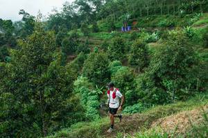 BIB: 
                            <button type="button" onclick="openModal(26402056)" class="btn btn-primary btn-sm float-right btn-popup" data-toggle="modal" data-target=".modal-high-quality">
                        <i class="fas fa-shopping-cart"></i> Add to Cart
                    </button>
                                            <button type="button" onclick="isThisMe(26402056, true)" class="btn btn-success btn-sm float-right btn-popup btn-isme hidden" data-toggle="tooltip" data-placement="bottom" title="นี่คือรูปของคุณใช่ไหม คลิกที่นี่เพื่อเอาเข้าอัลบั้ม">
                        <i class="fas fa-plus"></i> Add to album
                    </button>
                    <button type="button" onclick="isThisMe(26402056, false)" class="btn btn-warning btn-sm float-right btn-popup btn-isnotme hidden">
                        <i class="fas fa-ban"></i> Remove from album
                    </button>