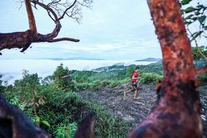 BIB: 
                            <button type="button" onclick="openModal(26372060)" class="btn btn-primary btn-sm float-right btn-popup" data-toggle="modal" data-target=".modal-high-quality">
                        <i class="fas fa-shopping-cart"></i> Add to Cart
                    </button>
                                            <button type="button" onclick="isThisMe(26372060, true)" class="btn btn-success btn-sm float-right btn-popup btn-isme hidden" data-toggle="tooltip" data-placement="bottom" title="นี่คือรูปของคุณใช่ไหม คลิกที่นี่เพื่อเอาเข้าอัลบั้ม">
                        <i class="fas fa-plus"></i> Add to album
                    </button>
                    <button type="button" onclick="isThisMe(26372060, false)" class="btn btn-warning btn-sm float-right btn-popup btn-isnotme hidden">
                        <i class="fas fa-ban"></i> Remove from album
                    </button>