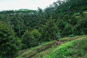 BIB: 
                            <button type="button" onclick="openModal(26396866)" class="btn btn-primary btn-sm float-right btn-popup" data-toggle="modal" data-target=".modal-high-quality">
                        <i class="fas fa-shopping-cart"></i> Add to Cart
                    </button>
                                            <button type="button" onclick="isThisMe(26396866, true)" class="btn btn-success btn-sm float-right btn-popup btn-isme hidden" data-toggle="tooltip" data-placement="bottom" title="นี่คือรูปของคุณใช่ไหม คลิกที่นี่เพื่อเอาเข้าอัลบั้ม">
                        <i class="fas fa-plus"></i> Add to album
                    </button>
                    <button type="button" onclick="isThisMe(26396866, false)" class="btn btn-warning btn-sm float-right btn-popup btn-isnotme hidden">
                        <i class="fas fa-ban"></i> Remove from album
                    </button>