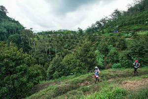 BIB: 
                            <button type="button" onclick="openModal(26394904)" class="btn btn-primary btn-sm float-right btn-popup" data-toggle="modal" data-target=".modal-high-quality">
                        <i class="fas fa-shopping-cart"></i> Add to Cart
                    </button>
                                            <button type="button" onclick="isThisMe(26394904, true)" class="btn btn-success btn-sm float-right btn-popup btn-isme hidden" data-toggle="tooltip" data-placement="bottom" title="นี่คือรูปของคุณใช่ไหม คลิกที่นี่เพื่อเอาเข้าอัลบั้ม">
                        <i class="fas fa-plus"></i> Add to album
                    </button>
                    <button type="button" onclick="isThisMe(26394904, false)" class="btn btn-warning btn-sm float-right btn-popup btn-isnotme hidden">
                        <i class="fas fa-ban"></i> Remove from album
                    </button>