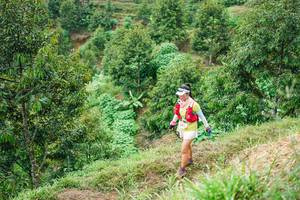 BIB: 
                            <button type="button" onclick="openModal(26398372)" class="btn btn-primary btn-sm float-right btn-popup" data-toggle="modal" data-target=".modal-high-quality">
                        <i class="fas fa-shopping-cart"></i> Add to Cart
                    </button>
                                            <button type="button" onclick="isThisMe(26398372, true)" class="btn btn-success btn-sm float-right btn-popup btn-isme hidden" data-toggle="tooltip" data-placement="bottom" title="นี่คือรูปของคุณใช่ไหม คลิกที่นี่เพื่อเอาเข้าอัลบั้ม">
                        <i class="fas fa-plus"></i> Add to album
                    </button>
                    <button type="button" onclick="isThisMe(26398372, false)" class="btn btn-warning btn-sm float-right btn-popup btn-isnotme hidden">
                        <i class="fas fa-ban"></i> Remove from album
                    </button>