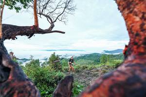 BIB: 
                            <button type="button" onclick="openModal(26372117)" class="btn btn-primary btn-sm float-right btn-popup" data-toggle="modal" data-target=".modal-high-quality">
                        <i class="fas fa-shopping-cart"></i> Add to Cart
                    </button>
                                            <button type="button" onclick="isThisMe(26372117, true)" class="btn btn-success btn-sm float-right btn-popup btn-isme hidden" data-toggle="tooltip" data-placement="bottom" title="นี่คือรูปของคุณใช่ไหม คลิกที่นี่เพื่อเอาเข้าอัลบั้ม">
                        <i class="fas fa-plus"></i> Add to album
                    </button>
                    <button type="button" onclick="isThisMe(26372117, false)" class="btn btn-warning btn-sm float-right btn-popup btn-isnotme hidden">
                        <i class="fas fa-ban"></i> Remove from album
                    </button>