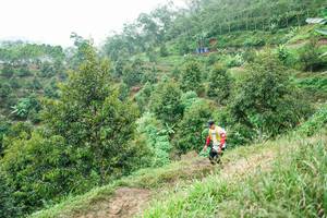 BIB: 
                            <button type="button" onclick="openModal(26397889)" class="btn btn-primary btn-sm float-right btn-popup" data-toggle="modal" data-target=".modal-high-quality">
                        <i class="fas fa-shopping-cart"></i> Add to Cart
                    </button>
                                            <button type="button" onclick="isThisMe(26397889, true)" class="btn btn-success btn-sm float-right btn-popup btn-isme hidden" data-toggle="tooltip" data-placement="bottom" title="นี่คือรูปของคุณใช่ไหม คลิกที่นี่เพื่อเอาเข้าอัลบั้ม">
                        <i class="fas fa-plus"></i> Add to album
                    </button>
                    <button type="button" onclick="isThisMe(26397889, false)" class="btn btn-warning btn-sm float-right btn-popup btn-isnotme hidden">
                        <i class="fas fa-ban"></i> Remove from album
                    </button>