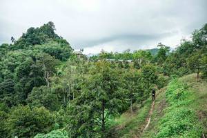 BIB: 
                            <button type="button" onclick="openModal(26396448)" class="btn btn-primary btn-sm float-right btn-popup" data-toggle="modal" data-target=".modal-high-quality">
                        <i class="fas fa-shopping-cart"></i> Add to Cart
                    </button>
                                            <button type="button" onclick="isThisMe(26396448, true)" class="btn btn-success btn-sm float-right btn-popup btn-isme hidden" data-toggle="tooltip" data-placement="bottom" title="นี่คือรูปของคุณใช่ไหม คลิกที่นี่เพื่อเอาเข้าอัลบั้ม">
                        <i class="fas fa-plus"></i> Add to album
                    </button>
                    <button type="button" onclick="isThisMe(26396448, false)" class="btn btn-warning btn-sm float-right btn-popup btn-isnotme hidden">
                        <i class="fas fa-ban"></i> Remove from album
                    </button>