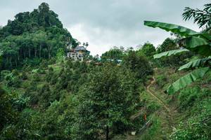 BIB: 
                            <button type="button" onclick="openModal(26396740)" class="btn btn-primary btn-sm float-right btn-popup" data-toggle="modal" data-target=".modal-high-quality">
                        <i class="fas fa-shopping-cart"></i> Add to Cart
                    </button>
                                            <button type="button" onclick="isThisMe(26396740, true)" class="btn btn-success btn-sm float-right btn-popup btn-isme hidden" data-toggle="tooltip" data-placement="bottom" title="นี่คือรูปของคุณใช่ไหม คลิกที่นี่เพื่อเอาเข้าอัลบั้ม">
                        <i class="fas fa-plus"></i> Add to album
                    </button>
                    <button type="button" onclick="isThisMe(26396740, false)" class="btn btn-warning btn-sm float-right btn-popup btn-isnotme hidden">
                        <i class="fas fa-ban"></i> Remove from album
                    </button>