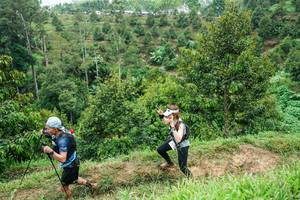 BIB: 
                            <button type="button" onclick="openModal(26397666)" class="btn btn-primary btn-sm float-right btn-popup" data-toggle="modal" data-target=".modal-high-quality">
                        <i class="fas fa-shopping-cart"></i> Add to Cart
                    </button>
                                            <button type="button" onclick="isThisMe(26397666, true)" class="btn btn-success btn-sm float-right btn-popup btn-isme hidden" data-toggle="tooltip" data-placement="bottom" title="นี่คือรูปของคุณใช่ไหม คลิกที่นี่เพื่อเอาเข้าอัลบั้ม">
                        <i class="fas fa-plus"></i> Add to album
                    </button>
                    <button type="button" onclick="isThisMe(26397666, false)" class="btn btn-warning btn-sm float-right btn-popup btn-isnotme hidden">
                        <i class="fas fa-ban"></i> Remove from album
                    </button>