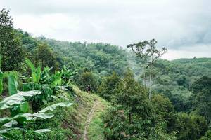 BIB: 
                            <button type="button" onclick="openModal(26396555)" class="btn btn-primary btn-sm float-right btn-popup" data-toggle="modal" data-target=".modal-high-quality">
                        <i class="fas fa-shopping-cart"></i> Add to Cart
                    </button>
                                            <button type="button" onclick="isThisMe(26396555, true)" class="btn btn-success btn-sm float-right btn-popup btn-isme hidden" data-toggle="tooltip" data-placement="bottom" title="นี่คือรูปของคุณใช่ไหม คลิกที่นี่เพื่อเอาเข้าอัลบั้ม">
                        <i class="fas fa-plus"></i> Add to album
                    </button>
                    <button type="button" onclick="isThisMe(26396555, false)" class="btn btn-warning btn-sm float-right btn-popup btn-isnotme hidden">
                        <i class="fas fa-ban"></i> Remove from album
                    </button>