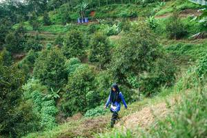 BIB: 
                            <button type="button" onclick="openModal(26401856)" class="btn btn-primary btn-sm float-right btn-popup" data-toggle="modal" data-target=".modal-high-quality">
                        <i class="fas fa-shopping-cart"></i> Add to Cart
                    </button>
                                            <button type="button" onclick="isThisMe(26401856, true)" class="btn btn-success btn-sm float-right btn-popup btn-isme hidden" data-toggle="tooltip" data-placement="bottom" title="นี่คือรูปของคุณใช่ไหม คลิกที่นี่เพื่อเอาเข้าอัลบั้ม">
                        <i class="fas fa-plus"></i> Add to album
                    </button>
                    <button type="button" onclick="isThisMe(26401856, false)" class="btn btn-warning btn-sm float-right btn-popup btn-isnotme hidden">
                        <i class="fas fa-ban"></i> Remove from album
                    </button>