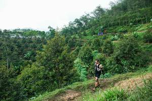 BIB: 
                            <button type="button" onclick="openModal(26402042)" class="btn btn-primary btn-sm float-right btn-popup" data-toggle="modal" data-target=".modal-high-quality">
                        <i class="fas fa-shopping-cart"></i> Add to Cart
                    </button>
                                            <button type="button" onclick="isThisMe(26402042, true)" class="btn btn-success btn-sm float-right btn-popup btn-isme hidden" data-toggle="tooltip" data-placement="bottom" title="นี่คือรูปของคุณใช่ไหม คลิกที่นี่เพื่อเอาเข้าอัลบั้ม">
                        <i class="fas fa-plus"></i> Add to album
                    </button>
                    <button type="button" onclick="isThisMe(26402042, false)" class="btn btn-warning btn-sm float-right btn-popup btn-isnotme hidden">
                        <i class="fas fa-ban"></i> Remove from album
                    </button>