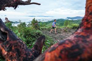 BIB: 
                            <button type="button" onclick="openModal(26372157)" class="btn btn-primary btn-sm float-right btn-popup" data-toggle="modal" data-target=".modal-high-quality">
                        <i class="fas fa-shopping-cart"></i> Add to Cart
                    </button>
                                            <button type="button" onclick="isThisMe(26372157, true)" class="btn btn-success btn-sm float-right btn-popup btn-isme hidden" data-toggle="tooltip" data-placement="bottom" title="นี่คือรูปของคุณใช่ไหม คลิกที่นี่เพื่อเอาเข้าอัลบั้ม">
                        <i class="fas fa-plus"></i> Add to album
                    </button>
                    <button type="button" onclick="isThisMe(26372157, false)" class="btn btn-warning btn-sm float-right btn-popup btn-isnotme hidden">
                        <i class="fas fa-ban"></i> Remove from album
                    </button>