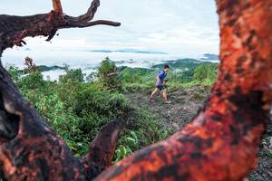 BIB: 
                            <button type="button" onclick="openModal(26372249)" class="btn btn-primary btn-sm float-right btn-popup" data-toggle="modal" data-target=".modal-high-quality">
                        <i class="fas fa-shopping-cart"></i> Add to Cart
                    </button>
                                            <button type="button" onclick="isThisMe(26372249, true)" class="btn btn-success btn-sm float-right btn-popup btn-isme hidden" data-toggle="tooltip" data-placement="bottom" title="นี่คือรูปของคุณใช่ไหม คลิกที่นี่เพื่อเอาเข้าอัลบั้ม">
                        <i class="fas fa-plus"></i> Add to album
                    </button>
                    <button type="button" onclick="isThisMe(26372249, false)" class="btn btn-warning btn-sm float-right btn-popup btn-isnotme hidden">
                        <i class="fas fa-ban"></i> Remove from album
                    </button>