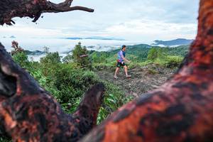 BIB: 
                            <button type="button" onclick="openModal(26372148)" class="btn btn-primary btn-sm float-right btn-popup" data-toggle="modal" data-target=".modal-high-quality">
                        <i class="fas fa-shopping-cart"></i> Add to Cart
                    </button>
                                            <button type="button" onclick="isThisMe(26372148, true)" class="btn btn-success btn-sm float-right btn-popup btn-isme hidden" data-toggle="tooltip" data-placement="bottom" title="นี่คือรูปของคุณใช่ไหม คลิกที่นี่เพื่อเอาเข้าอัลบั้ม">
                        <i class="fas fa-plus"></i> Add to album
                    </button>
                    <button type="button" onclick="isThisMe(26372148, false)" class="btn btn-warning btn-sm float-right btn-popup btn-isnotme hidden">
                        <i class="fas fa-ban"></i> Remove from album
                    </button>