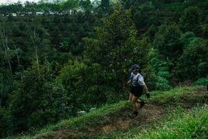 BIB: 
                            <button type="button" onclick="openModal(26397012)" class="btn btn-primary btn-sm float-right btn-popup" data-toggle="modal" data-target=".modal-high-quality">
                        <i class="fas fa-shopping-cart"></i> Add to Cart
                    </button>
                                            <button type="button" onclick="isThisMe(26397012, true)" class="btn btn-success btn-sm float-right btn-popup btn-isme hidden" data-toggle="tooltip" data-placement="bottom" title="นี่คือรูปของคุณใช่ไหม คลิกที่นี่เพื่อเอาเข้าอัลบั้ม">
                        <i class="fas fa-plus"></i> Add to album
                    </button>
                    <button type="button" onclick="isThisMe(26397012, false)" class="btn btn-warning btn-sm float-right btn-popup btn-isnotme hidden">
                        <i class="fas fa-ban"></i> Remove from album
                    </button>