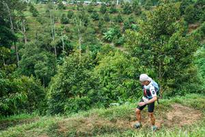 BIB: 
                            <button type="button" onclick="openModal(26397295)" class="btn btn-primary btn-sm float-right btn-popup" data-toggle="modal" data-target=".modal-high-quality">
                        <i class="fas fa-shopping-cart"></i> Add to Cart
                    </button>
                                            <button type="button" onclick="isThisMe(26397295, true)" class="btn btn-success btn-sm float-right btn-popup btn-isme hidden" data-toggle="tooltip" data-placement="bottom" title="นี่คือรูปของคุณใช่ไหม คลิกที่นี่เพื่อเอาเข้าอัลบั้ม">
                        <i class="fas fa-plus"></i> Add to album
                    </button>
                    <button type="button" onclick="isThisMe(26397295, false)" class="btn btn-warning btn-sm float-right btn-popup btn-isnotme hidden">
                        <i class="fas fa-ban"></i> Remove from album
                    </button>