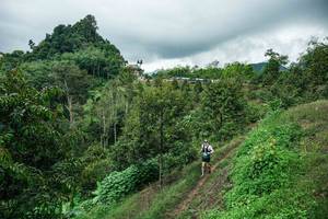 BIB: 
                            <button type="button" onclick="openModal(26396642)" class="btn btn-primary btn-sm float-right btn-popup" data-toggle="modal" data-target=".modal-high-quality">
                        <i class="fas fa-shopping-cart"></i> Add to Cart
                    </button>
                                            <button type="button" onclick="isThisMe(26396642, true)" class="btn btn-success btn-sm float-right btn-popup btn-isme hidden" data-toggle="tooltip" data-placement="bottom" title="นี่คือรูปของคุณใช่ไหม คลิกที่นี่เพื่อเอาเข้าอัลบั้ม">
                        <i class="fas fa-plus"></i> Add to album
                    </button>
                    <button type="button" onclick="isThisMe(26396642, false)" class="btn btn-warning btn-sm float-right btn-popup btn-isnotme hidden">
                        <i class="fas fa-ban"></i> Remove from album
                    </button>