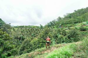 BIB: 
                            <button type="button" onclick="openModal(26396355)" class="btn btn-primary btn-sm float-right btn-popup" data-toggle="modal" data-target=".modal-high-quality">
                        <i class="fas fa-shopping-cart"></i> Add to Cart
                    </button>
                                            <button type="button" onclick="isThisMe(26396355, true)" class="btn btn-success btn-sm float-right btn-popup btn-isme hidden" data-toggle="tooltip" data-placement="bottom" title="นี่คือรูปของคุณใช่ไหม คลิกที่นี่เพื่อเอาเข้าอัลบั้ม">
                        <i class="fas fa-plus"></i> Add to album
                    </button>
                    <button type="button" onclick="isThisMe(26396355, false)" class="btn btn-warning btn-sm float-right btn-popup btn-isnotme hidden">
                        <i class="fas fa-ban"></i> Remove from album
                    </button>