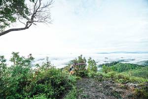 BIB: 
                            <button type="button" onclick="openModal(26372455)" class="btn btn-primary btn-sm float-right btn-popup" data-toggle="modal" data-target=".modal-high-quality">
                        <i class="fas fa-shopping-cart"></i> Add to Cart
                    </button>
                                            <button type="button" onclick="isThisMe(26372455, true)" class="btn btn-success btn-sm float-right btn-popup btn-isme hidden" data-toggle="tooltip" data-placement="bottom" title="นี่คือรูปของคุณใช่ไหม คลิกที่นี่เพื่อเอาเข้าอัลบั้ม">
                        <i class="fas fa-plus"></i> Add to album
                    </button>
                    <button type="button" onclick="isThisMe(26372455, false)" class="btn btn-warning btn-sm float-right btn-popup btn-isnotme hidden">
                        <i class="fas fa-ban"></i> Remove from album
                    </button>