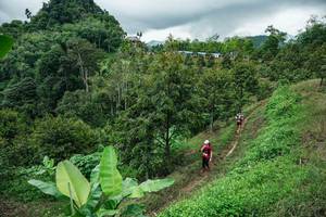 BIB: 
                            <button type="button" onclick="openModal(26396513)" class="btn btn-primary btn-sm float-right btn-popup" data-toggle="modal" data-target=".modal-high-quality">
                        <i class="fas fa-shopping-cart"></i> Add to Cart
                    </button>
                                            <button type="button" onclick="isThisMe(26396513, true)" class="btn btn-success btn-sm float-right btn-popup btn-isme hidden" data-toggle="tooltip" data-placement="bottom" title="นี่คือรูปของคุณใช่ไหม คลิกที่นี่เพื่อเอาเข้าอัลบั้ม">
                        <i class="fas fa-plus"></i> Add to album
                    </button>
                    <button type="button" onclick="isThisMe(26396513, false)" class="btn btn-warning btn-sm float-right btn-popup btn-isnotme hidden">
                        <i class="fas fa-ban"></i> Remove from album
                    </button>