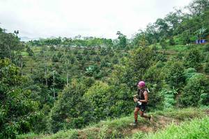 BIB: 
                            <button type="button" onclick="openModal(26395515)" class="btn btn-primary btn-sm float-right btn-popup" data-toggle="modal" data-target=".modal-high-quality">
                        <i class="fas fa-shopping-cart"></i> Add to Cart
                    </button>
                                            <button type="button" onclick="isThisMe(26395515, true)" class="btn btn-success btn-sm float-right btn-popup btn-isme hidden" data-toggle="tooltip" data-placement="bottom" title="นี่คือรูปของคุณใช่ไหม คลิกที่นี่เพื่อเอาเข้าอัลบั้ม">
                        <i class="fas fa-plus"></i> Add to album
                    </button>
                    <button type="button" onclick="isThisMe(26395515, false)" class="btn btn-warning btn-sm float-right btn-popup btn-isnotme hidden">
                        <i class="fas fa-ban"></i> Remove from album
                    </button>