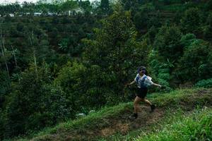 BIB: 
                            <button type="button" onclick="openModal(26397009)" class="btn btn-primary btn-sm float-right btn-popup" data-toggle="modal" data-target=".modal-high-quality">
                        <i class="fas fa-shopping-cart"></i> Add to Cart
                    </button>
                                            <button type="button" onclick="isThisMe(26397009, true)" class="btn btn-success btn-sm float-right btn-popup btn-isme hidden" data-toggle="tooltip" data-placement="bottom" title="นี่คือรูปของคุณใช่ไหม คลิกที่นี่เพื่อเอาเข้าอัลบั้ม">
                        <i class="fas fa-plus"></i> Add to album
                    </button>
                    <button type="button" onclick="isThisMe(26397009, false)" class="btn btn-warning btn-sm float-right btn-popup btn-isnotme hidden">
                        <i class="fas fa-ban"></i> Remove from album
                    </button>