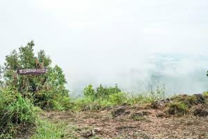 BIB: 
                            <button type="button" onclick="openModal(26389845)" class="btn btn-primary btn-sm float-right btn-popup" data-toggle="modal" data-target=".modal-high-quality">
                        <i class="fas fa-shopping-cart"></i> Add to Cart
                    </button>
                                            <button type="button" onclick="isThisMe(26389845, true)" class="btn btn-success btn-sm float-right btn-popup btn-isme hidden" data-toggle="tooltip" data-placement="bottom" title="นี่คือรูปของคุณใช่ไหม คลิกที่นี่เพื่อเอาเข้าอัลบั้ม">
                        <i class="fas fa-plus"></i> Add to album
                    </button>
                    <button type="button" onclick="isThisMe(26389845, false)" class="btn btn-warning btn-sm float-right btn-popup btn-isnotme hidden">
                        <i class="fas fa-ban"></i> Remove from album
                    </button>