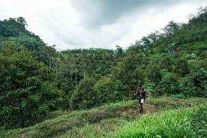 BIB: 
                            <button type="button" onclick="openModal(26394930)" class="btn btn-primary btn-sm float-right btn-popup" data-toggle="modal" data-target=".modal-high-quality">
                        <i class="fas fa-shopping-cart"></i> Add to Cart
                    </button>
                                            <button type="button" onclick="isThisMe(26394930, true)" class="btn btn-success btn-sm float-right btn-popup btn-isme hidden" data-toggle="tooltip" data-placement="bottom" title="นี่คือรูปของคุณใช่ไหม คลิกที่นี่เพื่อเอาเข้าอัลบั้ม">
                        <i class="fas fa-plus"></i> Add to album
                    </button>
                    <button type="button" onclick="isThisMe(26394930, false)" class="btn btn-warning btn-sm float-right btn-popup btn-isnotme hidden">
                        <i class="fas fa-ban"></i> Remove from album
                    </button>