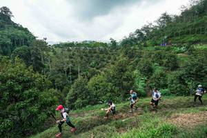 BIB: 
                            <button type="button" onclick="openModal(26394928)" class="btn btn-primary btn-sm float-right btn-popup" data-toggle="modal" data-target=".modal-high-quality">
                        <i class="fas fa-shopping-cart"></i> Add to Cart
                    </button>
                                            <button type="button" onclick="isThisMe(26394928, true)" class="btn btn-success btn-sm float-right btn-popup btn-isme hidden" data-toggle="tooltip" data-placement="bottom" title="นี่คือรูปของคุณใช่ไหม คลิกที่นี่เพื่อเอาเข้าอัลบั้ม">
                        <i class="fas fa-plus"></i> Add to album
                    </button>
                    <button type="button" onclick="isThisMe(26394928, false)" class="btn btn-warning btn-sm float-right btn-popup btn-isnotme hidden">
                        <i class="fas fa-ban"></i> Remove from album
                    </button>