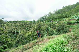 BIB: 
                            <button type="button" onclick="openModal(26396316)" class="btn btn-primary btn-sm float-right btn-popup" data-toggle="modal" data-target=".modal-high-quality">
                        <i class="fas fa-shopping-cart"></i> Add to Cart
                    </button>
                                            <button type="button" onclick="isThisMe(26396316, true)" class="btn btn-success btn-sm float-right btn-popup btn-isme hidden" data-toggle="tooltip" data-placement="bottom" title="นี่คือรูปของคุณใช่ไหม คลิกที่นี่เพื่อเอาเข้าอัลบั้ม">
                        <i class="fas fa-plus"></i> Add to album
                    </button>
                    <button type="button" onclick="isThisMe(26396316, false)" class="btn btn-warning btn-sm float-right btn-popup btn-isnotme hidden">
                        <i class="fas fa-ban"></i> Remove from album
                    </button>