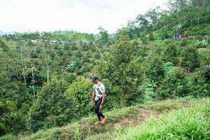 BIB: 
                            <button type="button" onclick="openModal(26395062)" class="btn btn-primary btn-sm float-right btn-popup" data-toggle="modal" data-target=".modal-high-quality">
                        <i class="fas fa-shopping-cart"></i> Add to Cart
                    </button>
                                            <button type="button" onclick="isThisMe(26395062, true)" class="btn btn-success btn-sm float-right btn-popup btn-isme hidden" data-toggle="tooltip" data-placement="bottom" title="นี่คือรูปของคุณใช่ไหม คลิกที่นี่เพื่อเอาเข้าอัลบั้ม">
                        <i class="fas fa-plus"></i> Add to album
                    </button>
                    <button type="button" onclick="isThisMe(26395062, false)" class="btn btn-warning btn-sm float-right btn-popup btn-isnotme hidden">
                        <i class="fas fa-ban"></i> Remove from album
                    </button>