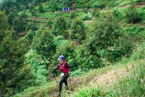 BIB: 
                            <button type="button" onclick="openModal(26401849)" class="btn btn-primary btn-sm float-right btn-popup" data-toggle="modal" data-target=".modal-high-quality">
                        <i class="fas fa-shopping-cart"></i> Add to Cart
                    </button>
                                            <button type="button" onclick="isThisMe(26401849, true)" class="btn btn-success btn-sm float-right btn-popup btn-isme hidden" data-toggle="tooltip" data-placement="bottom" title="นี่คือรูปของคุณใช่ไหม คลิกที่นี่เพื่อเอาเข้าอัลบั้ม">
                        <i class="fas fa-plus"></i> Add to album
                    </button>
                    <button type="button" onclick="isThisMe(26401849, false)" class="btn btn-warning btn-sm float-right btn-popup btn-isnotme hidden">
                        <i class="fas fa-ban"></i> Remove from album
                    </button>