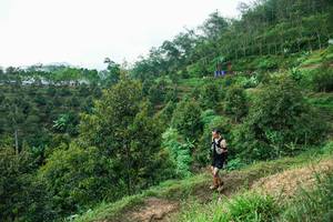 BIB: 
                            <button type="button" onclick="openModal(26402040)" class="btn btn-primary btn-sm float-right btn-popup" data-toggle="modal" data-target=".modal-high-quality">
                        <i class="fas fa-shopping-cart"></i> Add to Cart
                    </button>
                                            <button type="button" onclick="isThisMe(26402040, true)" class="btn btn-success btn-sm float-right btn-popup btn-isme hidden" data-toggle="tooltip" data-placement="bottom" title="นี่คือรูปของคุณใช่ไหม คลิกที่นี่เพื่อเอาเข้าอัลบั้ม">
                        <i class="fas fa-plus"></i> Add to album
                    </button>
                    <button type="button" onclick="isThisMe(26402040, false)" class="btn btn-warning btn-sm float-right btn-popup btn-isnotme hidden">
                        <i class="fas fa-ban"></i> Remove from album
                    </button>