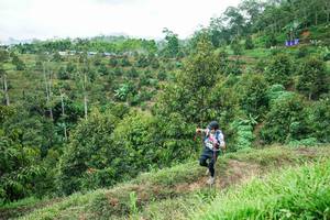 BIB: 
                            <button type="button" onclick="openModal(26395124)" class="btn btn-primary btn-sm float-right btn-popup" data-toggle="modal" data-target=".modal-high-quality">
                        <i class="fas fa-shopping-cart"></i> Add to Cart
                    </button>
                                            <button type="button" onclick="isThisMe(26395124, true)" class="btn btn-success btn-sm float-right btn-popup btn-isme hidden" data-toggle="tooltip" data-placement="bottom" title="นี่คือรูปของคุณใช่ไหม คลิกที่นี่เพื่อเอาเข้าอัลบั้ม">
                        <i class="fas fa-plus"></i> Add to album
                    </button>
                    <button type="button" onclick="isThisMe(26395124, false)" class="btn btn-warning btn-sm float-right btn-popup btn-isnotme hidden">
                        <i class="fas fa-ban"></i> Remove from album
                    </button>