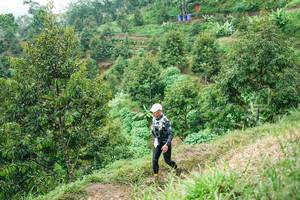 BIB: 
                            <button type="button" onclick="openModal(26397980)" class="btn btn-primary btn-sm float-right btn-popup" data-toggle="modal" data-target=".modal-high-quality">
                        <i class="fas fa-shopping-cart"></i> Add to Cart
                    </button>
                                            <button type="button" onclick="isThisMe(26397980, true)" class="btn btn-success btn-sm float-right btn-popup btn-isme hidden" data-toggle="tooltip" data-placement="bottom" title="นี่คือรูปของคุณใช่ไหม คลิกที่นี่เพื่อเอาเข้าอัลบั้ม">
                        <i class="fas fa-plus"></i> Add to album
                    </button>
                    <button type="button" onclick="isThisMe(26397980, false)" class="btn btn-warning btn-sm float-right btn-popup btn-isnotme hidden">
                        <i class="fas fa-ban"></i> Remove from album
                    </button>