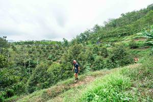 BIB: 
                            <button type="button" onclick="openModal(26396314)" class="btn btn-primary btn-sm float-right btn-popup" data-toggle="modal" data-target=".modal-high-quality">
                        <i class="fas fa-shopping-cart"></i> Add to Cart
                    </button>
                                            <button type="button" onclick="isThisMe(26396314, true)" class="btn btn-success btn-sm float-right btn-popup btn-isme hidden" data-toggle="tooltip" data-placement="bottom" title="นี่คือรูปของคุณใช่ไหม คลิกที่นี่เพื่อเอาเข้าอัลบั้ม">
                        <i class="fas fa-plus"></i> Add to album
                    </button>
                    <button type="button" onclick="isThisMe(26396314, false)" class="btn btn-warning btn-sm float-right btn-popup btn-isnotme hidden">
                        <i class="fas fa-ban"></i> Remove from album
                    </button>