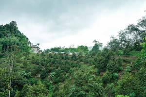 BIB: 
                            <button type="button" onclick="openModal(26396838)" class="btn btn-primary btn-sm float-right btn-popup" data-toggle="modal" data-target=".modal-high-quality">
                        <i class="fas fa-shopping-cart"></i> Add to Cart
                    </button>
                                            <button type="button" onclick="isThisMe(26396838, true)" class="btn btn-success btn-sm float-right btn-popup btn-isme hidden" data-toggle="tooltip" data-placement="bottom" title="นี่คือรูปของคุณใช่ไหม คลิกที่นี่เพื่อเอาเข้าอัลบั้ม">
                        <i class="fas fa-plus"></i> Add to album
                    </button>
                    <button type="button" onclick="isThisMe(26396838, false)" class="btn btn-warning btn-sm float-right btn-popup btn-isnotme hidden">
                        <i class="fas fa-ban"></i> Remove from album
                    </button>