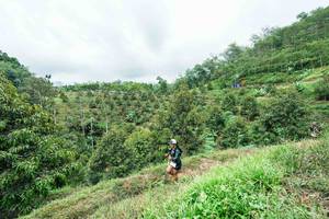 BIB: 
                            <button type="button" onclick="openModal(26396392)" class="btn btn-primary btn-sm float-right btn-popup" data-toggle="modal" data-target=".modal-high-quality">
                        <i class="fas fa-shopping-cart"></i> Add to Cart
                    </button>
                                            <button type="button" onclick="isThisMe(26396392, true)" class="btn btn-success btn-sm float-right btn-popup btn-isme hidden" data-toggle="tooltip" data-placement="bottom" title="นี่คือรูปของคุณใช่ไหม คลิกที่นี่เพื่อเอาเข้าอัลบั้ม">
                        <i class="fas fa-plus"></i> Add to album
                    </button>
                    <button type="button" onclick="isThisMe(26396392, false)" class="btn btn-warning btn-sm float-right btn-popup btn-isnotme hidden">
                        <i class="fas fa-ban"></i> Remove from album
                    </button>